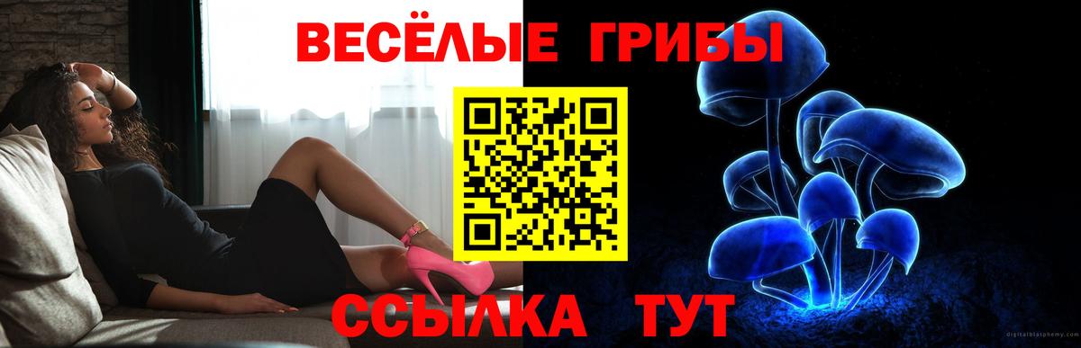 Псилоцибиновые грибы Psilocybine cubensis  Вход с VPN  Лысьва  Псилоцибиновые грибы MAGIC MUSHROOMS 